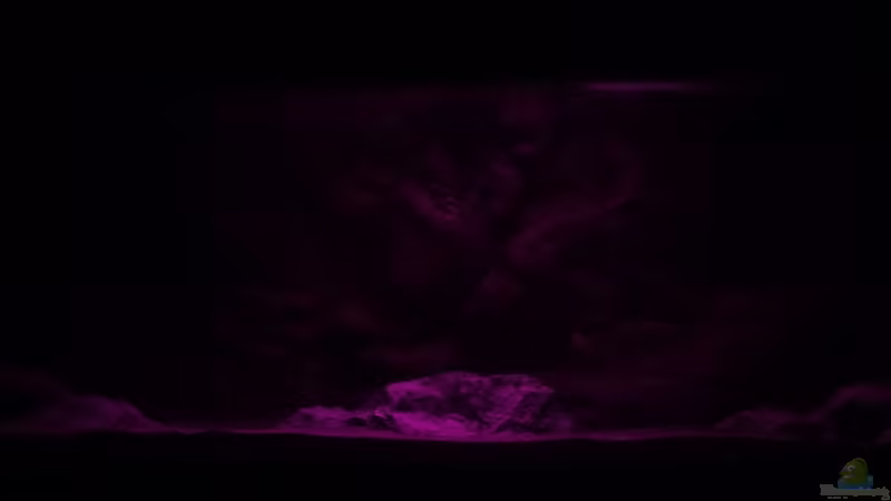 Morgen und Abendrot  von DER YBBSTALER (23)