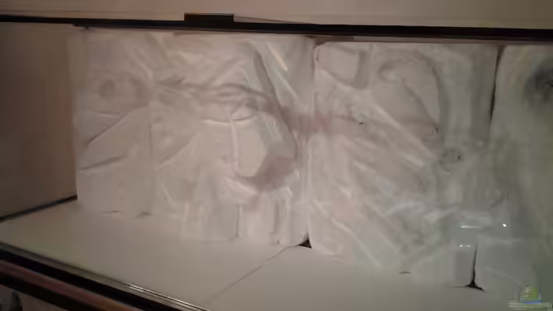 Morgen wird zementiert. von brokhauser (19)