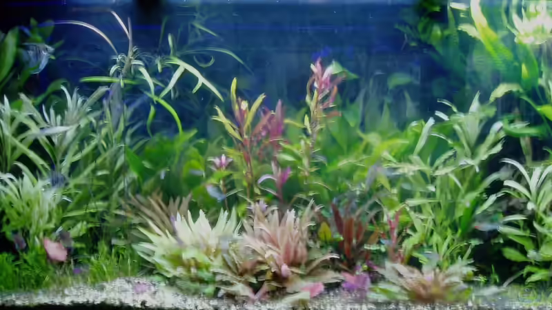 Morgendämmerung 10.03.2018 von Reiner Dr. Med. Jesse (9)