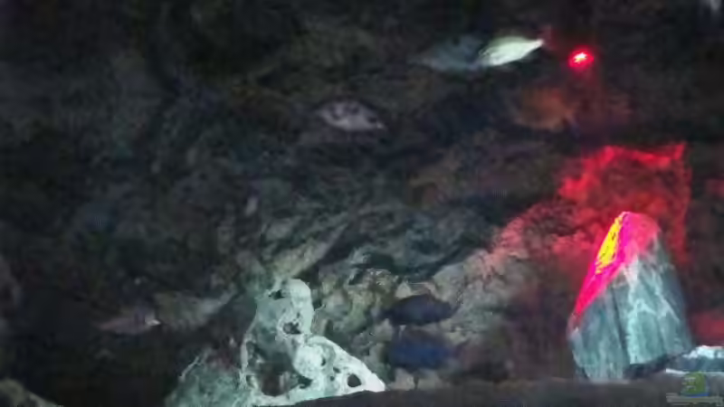 Morgendliche Dämmerstimmung von MalawiEder (17)