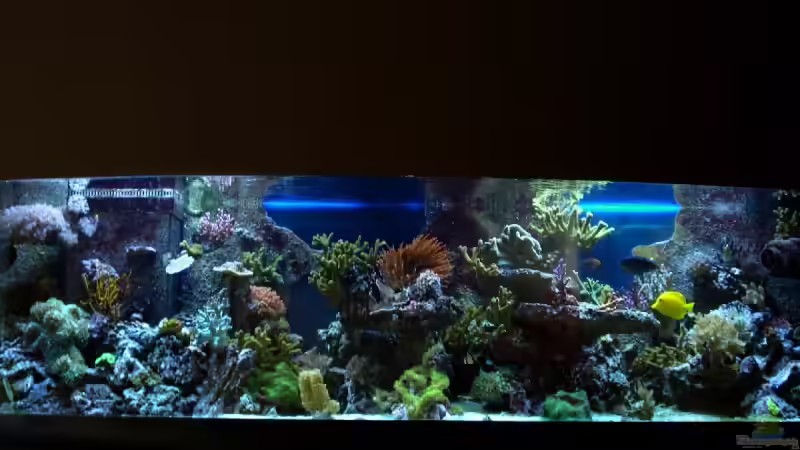 Morgenröte!!! von Sveni (1)