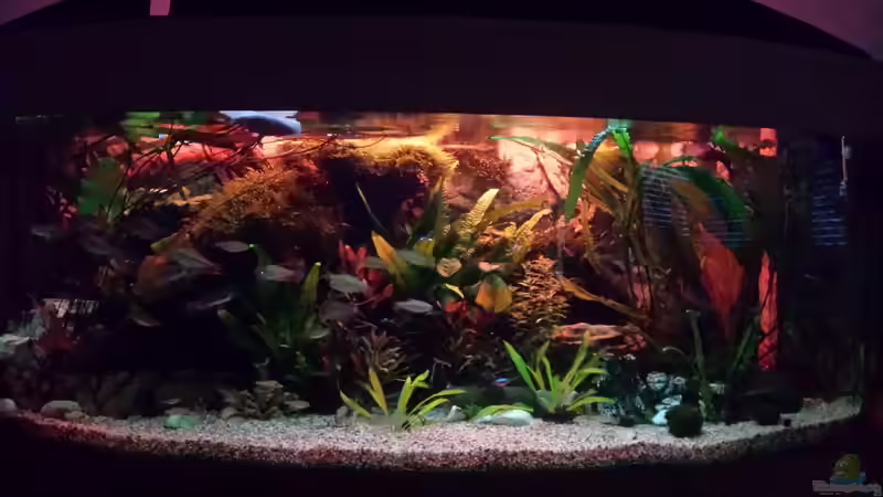 Morgenrot  von Thomas Müller (20)