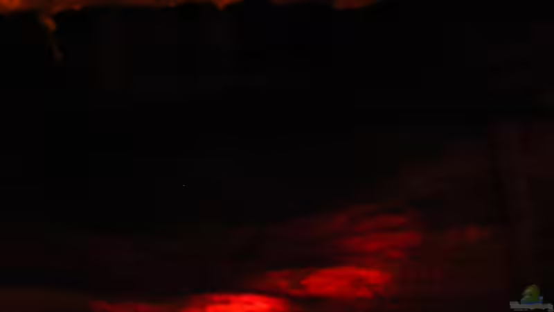 morgens ab 4 Uhr von Falk (27)