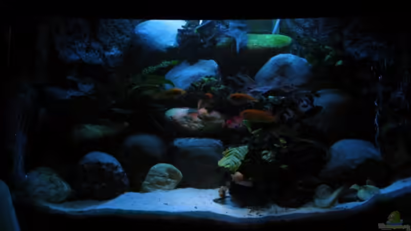 morgens und abends von Cali20 (5)