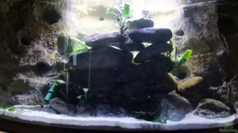 morgens von wadde (6)