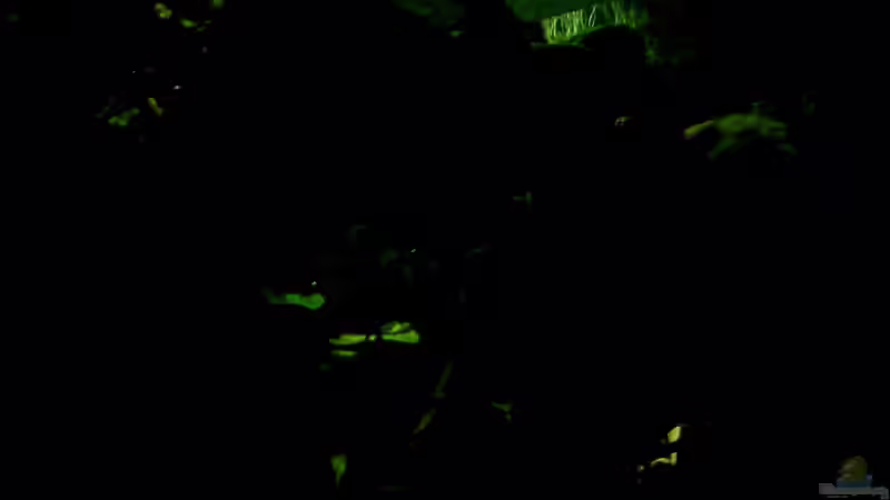 Morgensonne am Horizont... von Falk (9)