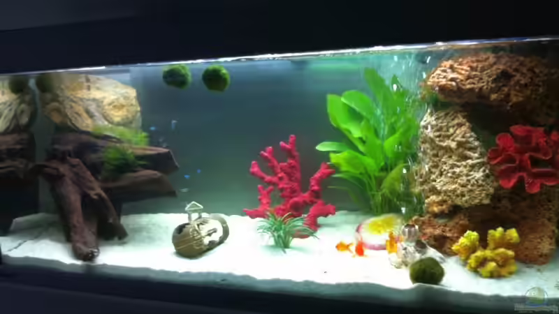 MP 240l NEU 2011 von George Soulwin (2)