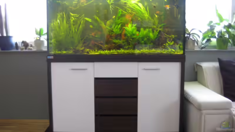 MP 460 l (alte Einrichtung) von Daniela (5)