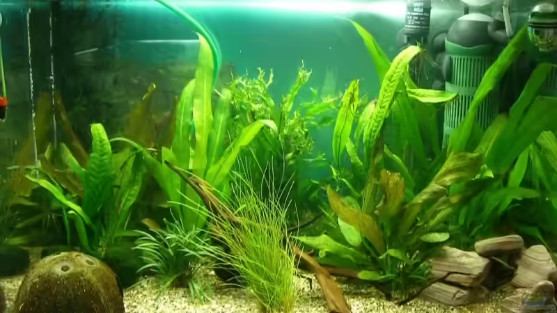 MP Aquapro 60 XL von KaSa (1)