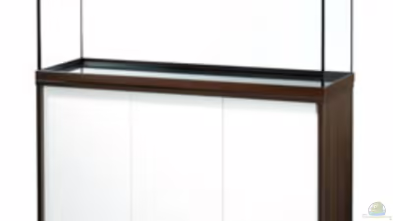 mp Aquarium Scubaline 120 wenge-weis von Benjamin Leonhardt (2)