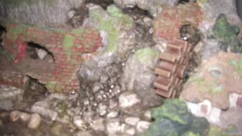 Mühle die durch Wasserfall betrieben wird von DerNürnberger (5)