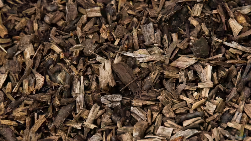 Mulch als Frostschutz: So schützen Sie Ihren Garten optimal vor kalten Temperaturen