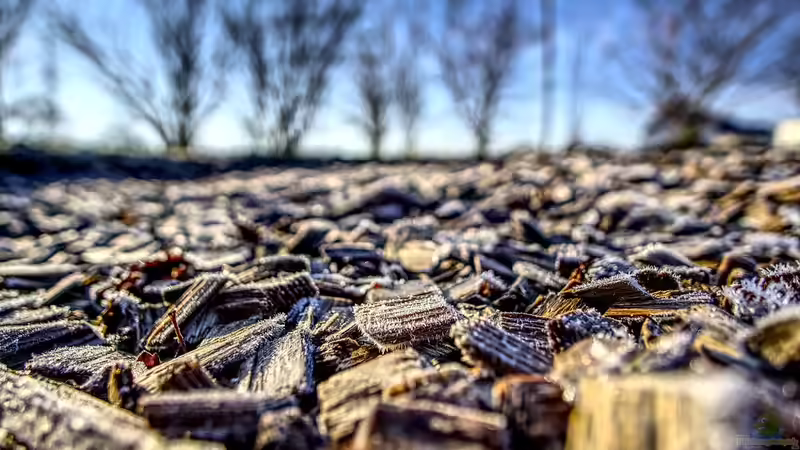 Mulch als Frostschutz: So schützen Sie Ihren Garten optimal vor kalten Temperaturen