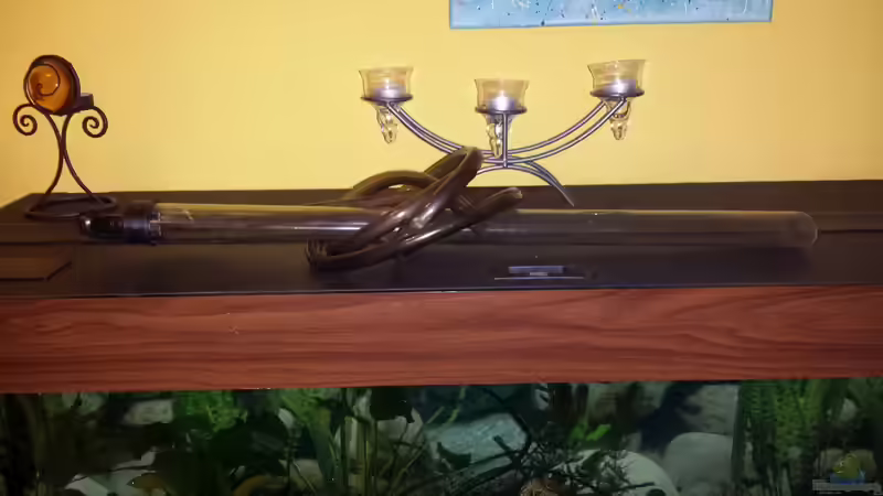 Mulmglocke von benjamin (17)