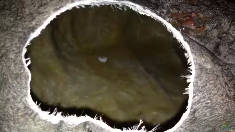 Muss noch entgratet werden von Tobias Sch. (15)