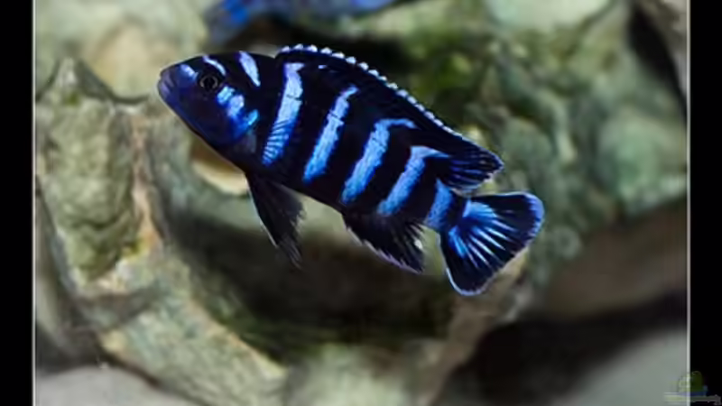 Musterbild von Erik H. (25)