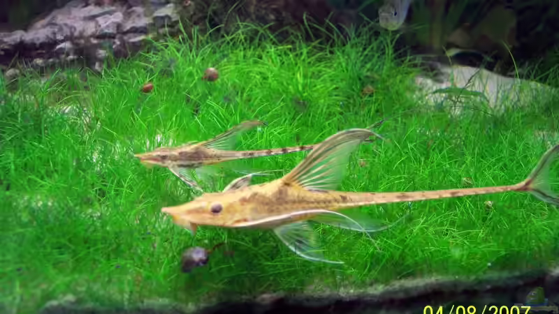 Mutter & Sohn (04.08.07) von Richard Gärtner (23)