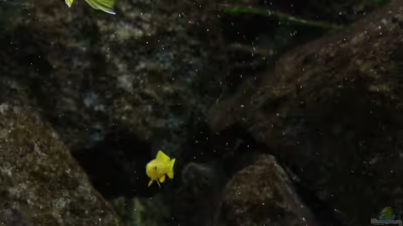 Mutter mit Kind von Philosoph (53)