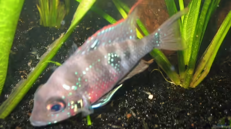 Mutter mit Kindern beim ersten Ausflug von Anja Hermes (9)