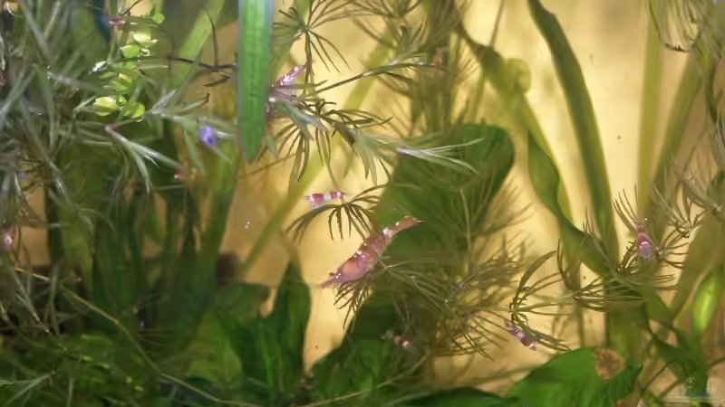 Mutter mit Kindern von Stefan Arenth (13)