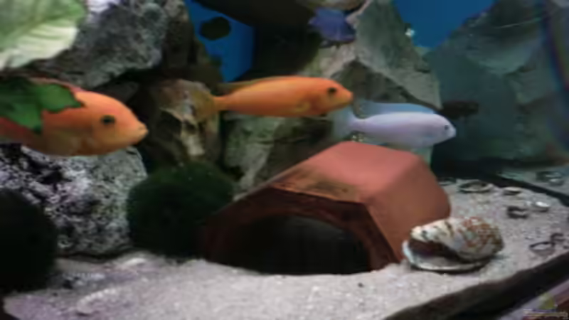 mutter,tochter sohn von Heiko Schipke (4)