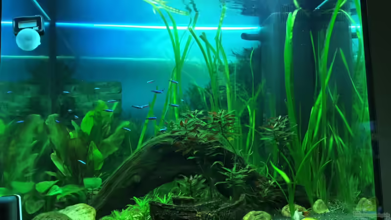 #MutterTochterProjekt von IL (1)