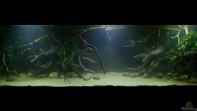 ~My-1000L-Tank~ 07.01.15 mit 2x10Watt u. 1x20Watt LED-Fluter Tag 1 von ~Marco~ (3)