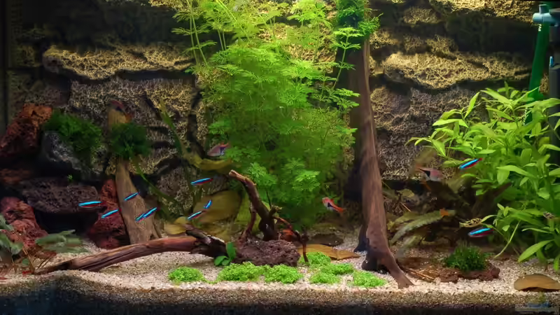 My Aquaspace 2.0 von Voyagerz (1)