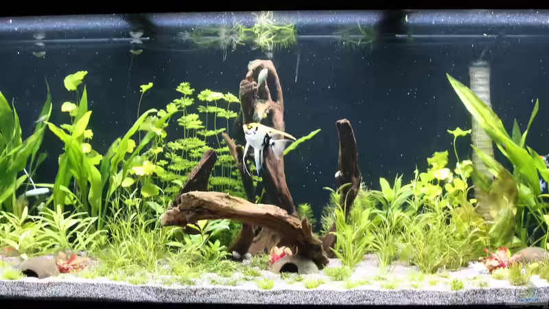 MY DREAM von coachdriver_uwe (1)