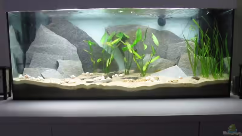 My Lake von Simon Schober (1)