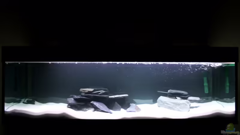 My Tanganyika von PioMisSambia (1)