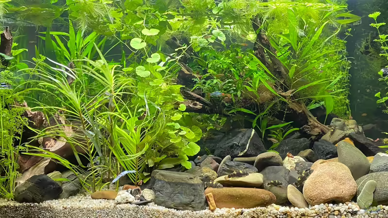 Myanmar Ansicht Flussseite (rechte Seite) von Tavira2000 (1)