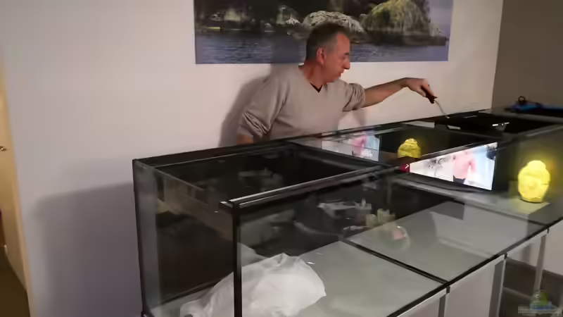 Myself am streichen der Rückscheibe von Florian Bandhauer (43)