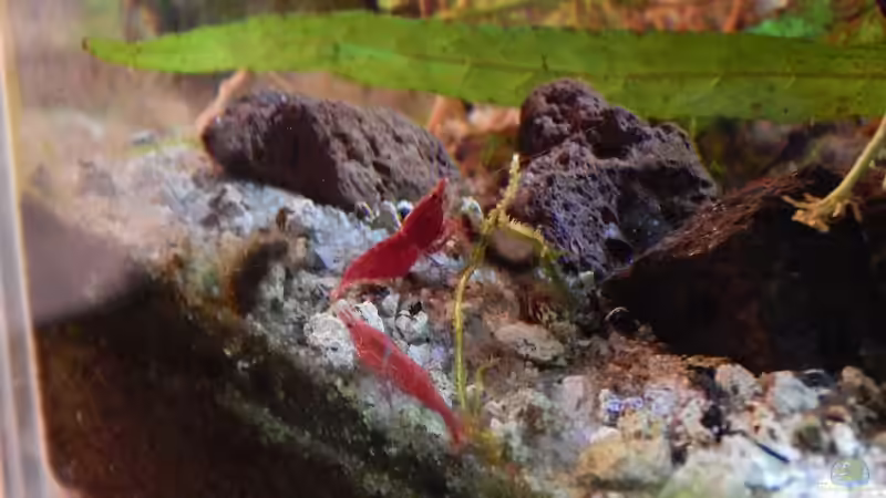 Na, Frau Nachbarin von Stefan_S (22)