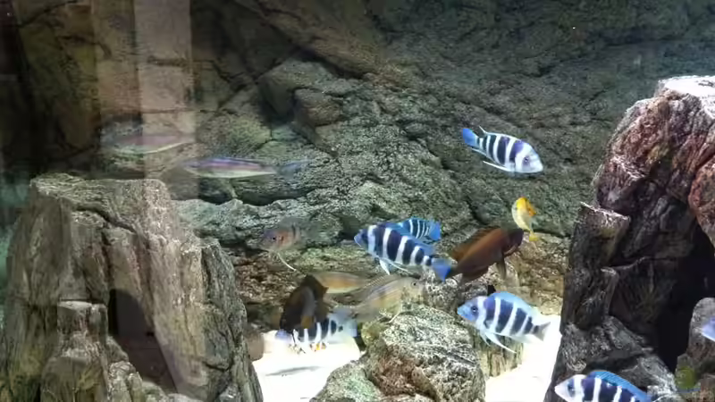 na alle da ?? von Manuel Jettki (24)