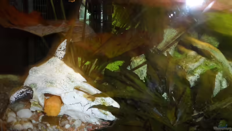 na dann gute Nacht.... von S04Peter (27)