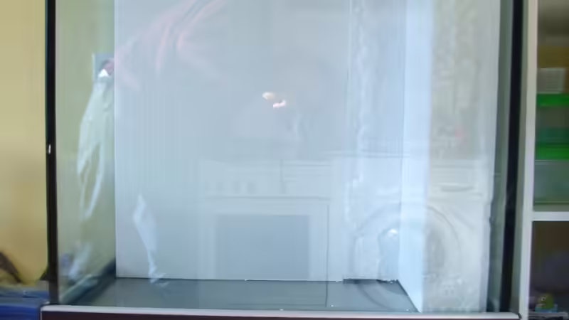 na dann mal los von Oliver Czaika (2)