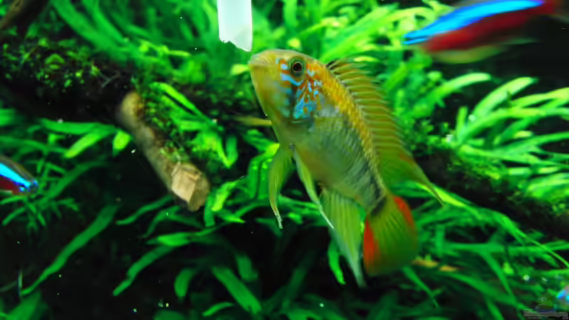 na Hallo, wirds bald ´Hunger´ von Dario (20)