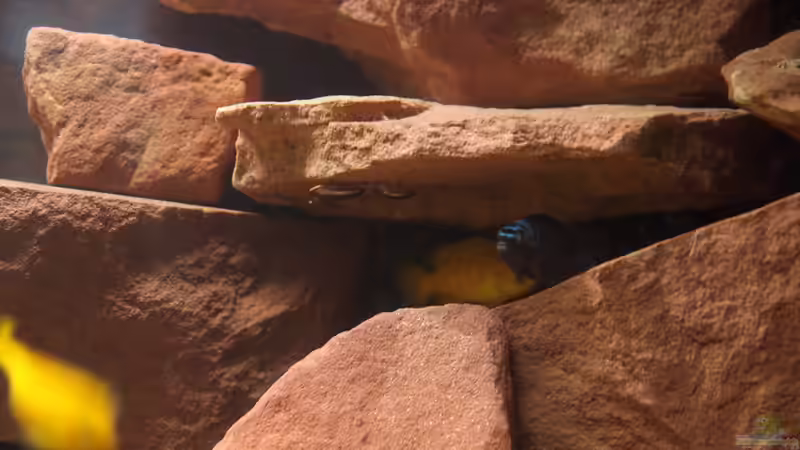 Na was die da wohl machen :-) von Duder Malawikus (31)