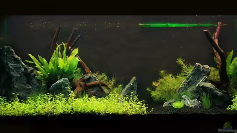 Nach 1. Wasserfüllung von Thomas Sprenger (2)