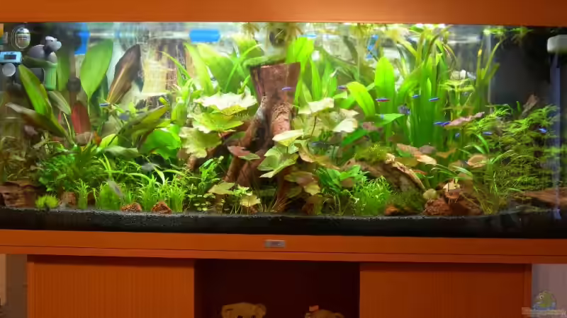 Nach 1 Monat von Thomas Fehlberg (4)