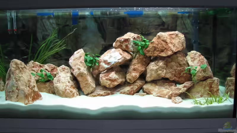 Nach 1 Woche der Einlaufphase von WSP (7)