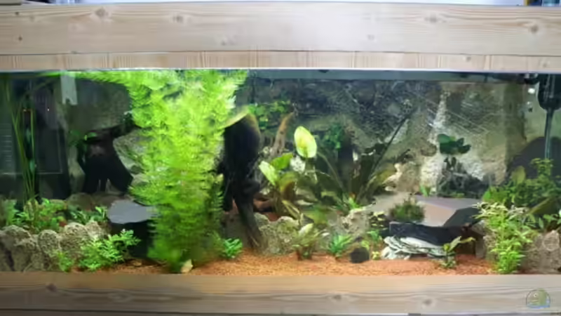 Nach 1 Woche Einlaufphase von Christian Zwick (3)