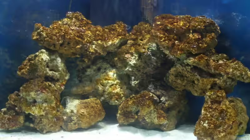 nach 1 Woche von Dirk Schäfer (22)