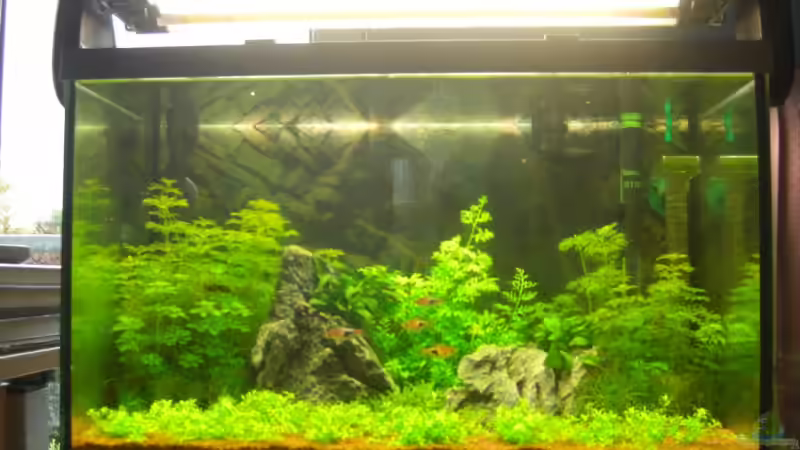 Nach 1 Woche von Klaus Bachmann (3)