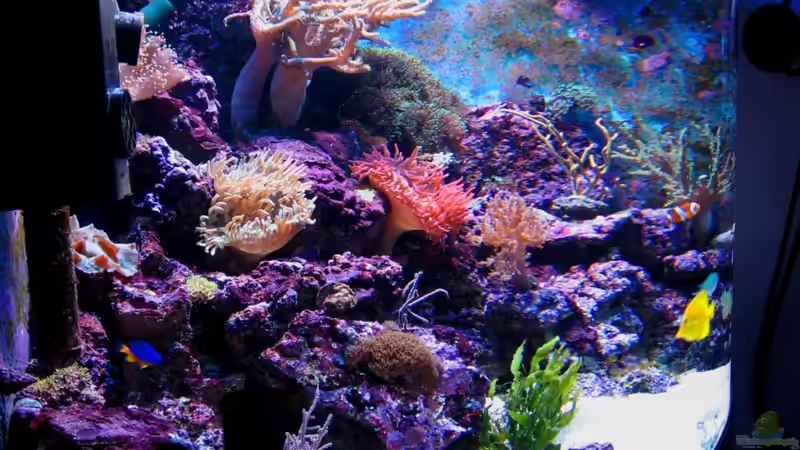 Nach 10 Monaten von Roland Kaltschitz (4)