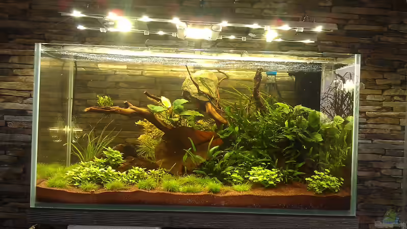 nach 12 Tagen von El Hein (8)