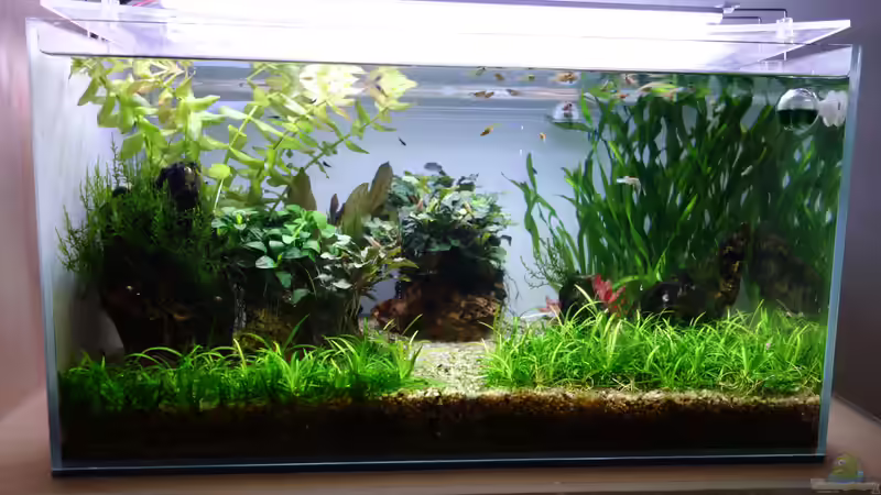 Nach 14 Monaten von Bernde (9)