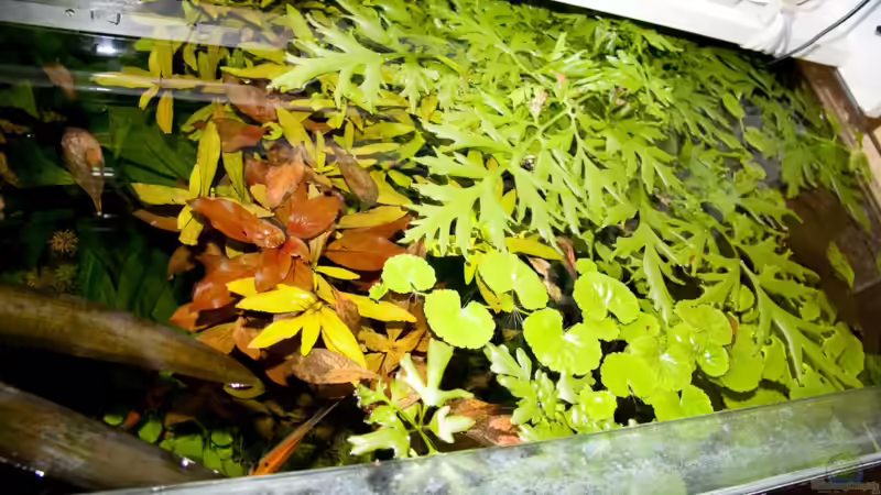 Nach 14 Tagen Abwesenheit von Ralf64 (33)