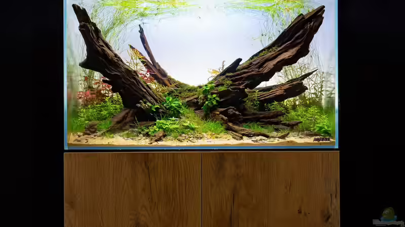 Nach 14 Tagen von Fredo Fuss (4)